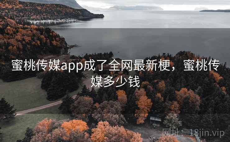 蜜桃传媒app成了全网最新梗,蜜桃传媒多少钱