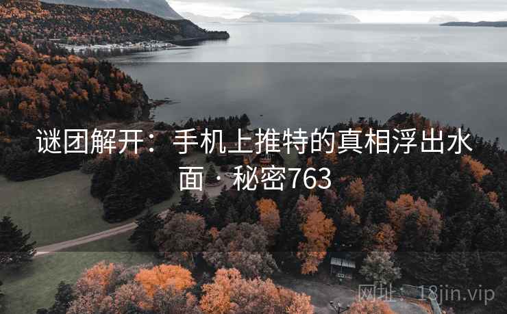 谜团解开：手机上推特的真相浮出水面 · 秘密763