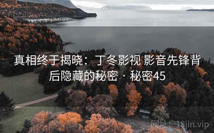 真相终于揭晓：丁冬影视 影音先锋背后隐藏的秘密 · 秘密45
